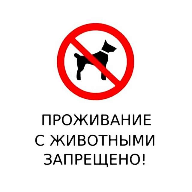 Гостиница Комфорт Суздаль-45